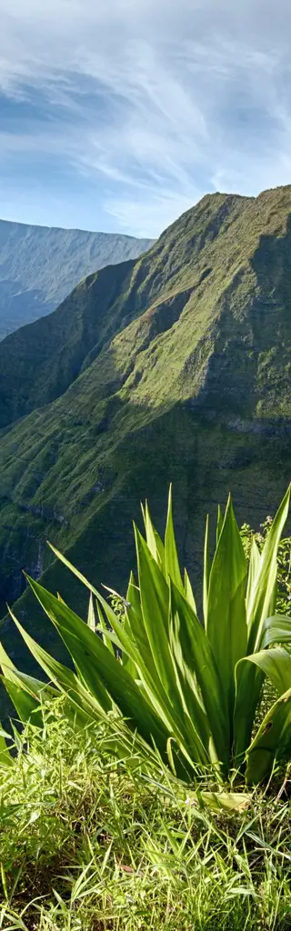 Französisch lernen auf La Réunion